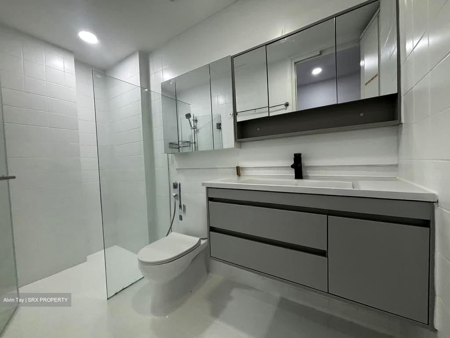 Dahlia Park Condominium (D17), Condominium #576696261